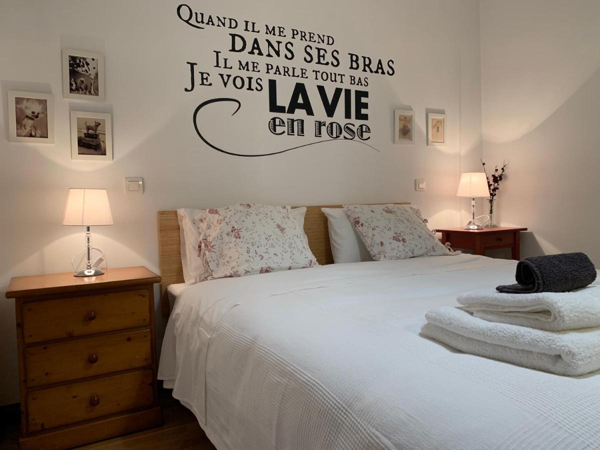 Апартаменты La Vie En Rose Piso En El Centro Бривьеска Экстерьер фото